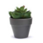 Succulente artificielle en pot