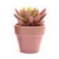 Succulente artificielle en pot