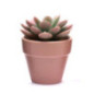 Succulente artificielle en pot