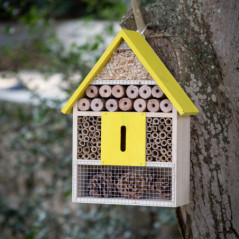 Maison a insectes