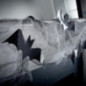 Deco chauve souris et toile