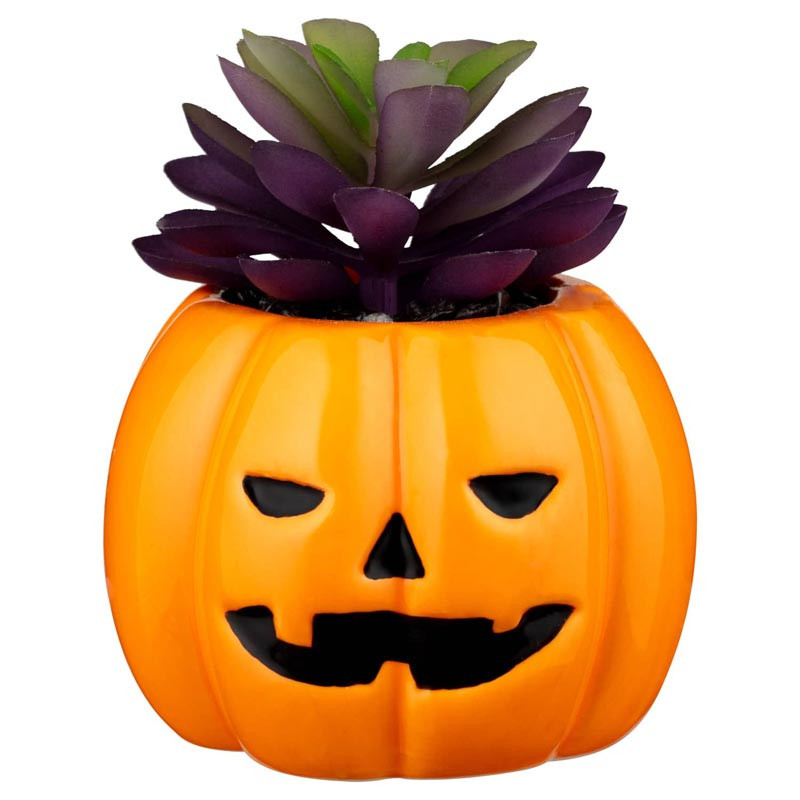 Pot succulente halloween