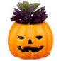 Pot succulente halloween