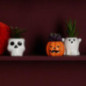 Pot succulente halloween