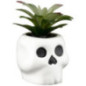 Pot succulente halloween