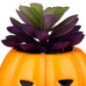 Pot succulente halloween