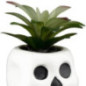 Pot succulente halloween