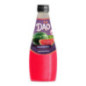 Boisson a la pasteque 290ml