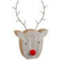 Cerf rudolph lumineux