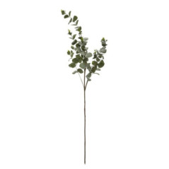 Branche eucalyptus paille flocon