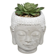 Plante artificelle bouddha