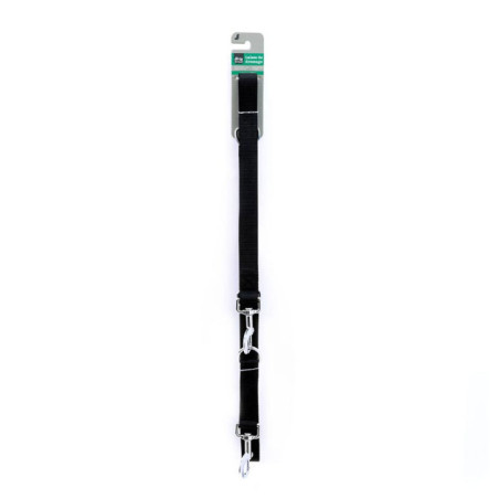 Laisse anti traction 2m