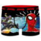 Boxers spider man x3 garcon