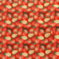 Plaid pique-nique imprime papaye