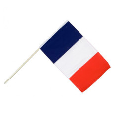 Drapeau avec hampe 45x30 cm