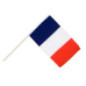 Drapeau avec hampe 45x30 cm