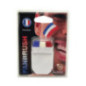 Stick tricolore france