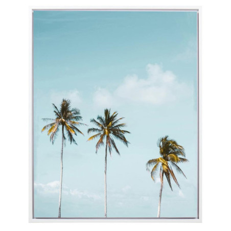 Cadre image palmiers