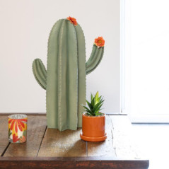 Cactus deco h50cm