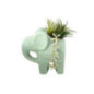 Plante pot elephant