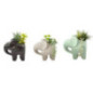 Plante pot elephant