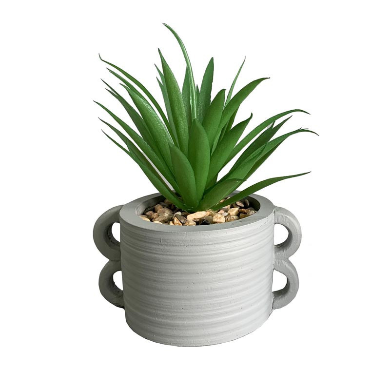 Plante en pot oreilles