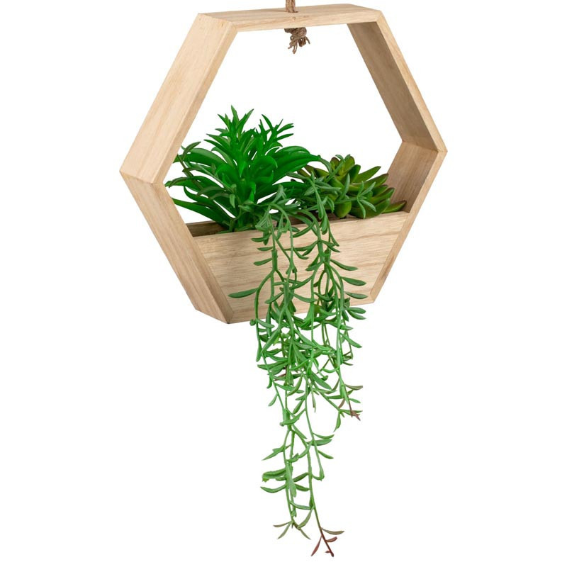 Plante suspendu hexagonale