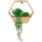 Plante suspendu hexagonale