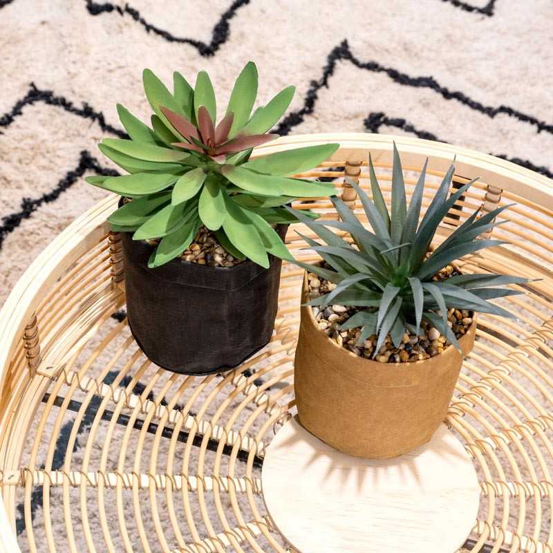 Plante grasse artificielle pour décorer - Jardin du désert – B&Inside