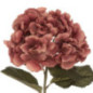 Tige hortensia prune h83cm