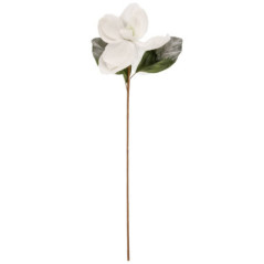 Tige fleur blanche gelee