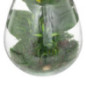 Terrarium h29,5cm