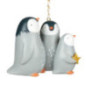 Famille pingouin