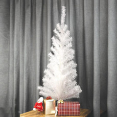 Sapin blanc 1m