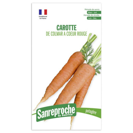 Gr carotte flakkee (colmar)coeur