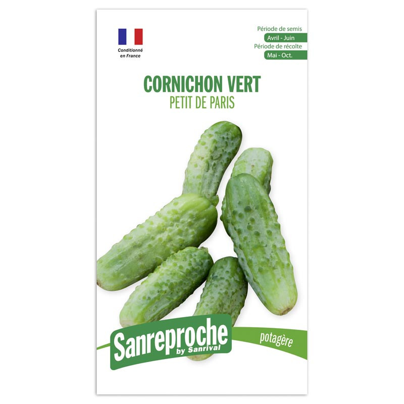 Graines de cornichon vert