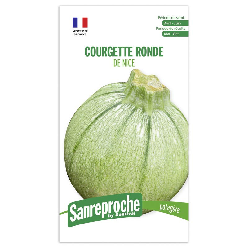 Gr courgette ronde