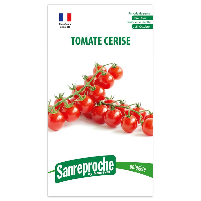 Gr tomate cerise