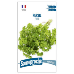 Graines persil frise