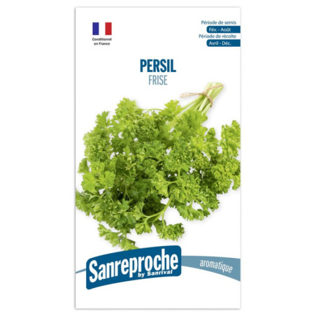 Graines persil frise