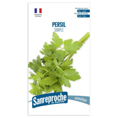 Graines persil simple