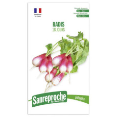 Graines radis 18 jours