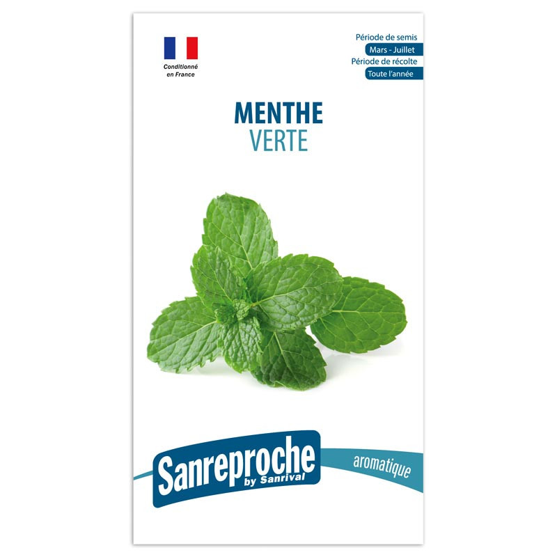 Gr menthe verte