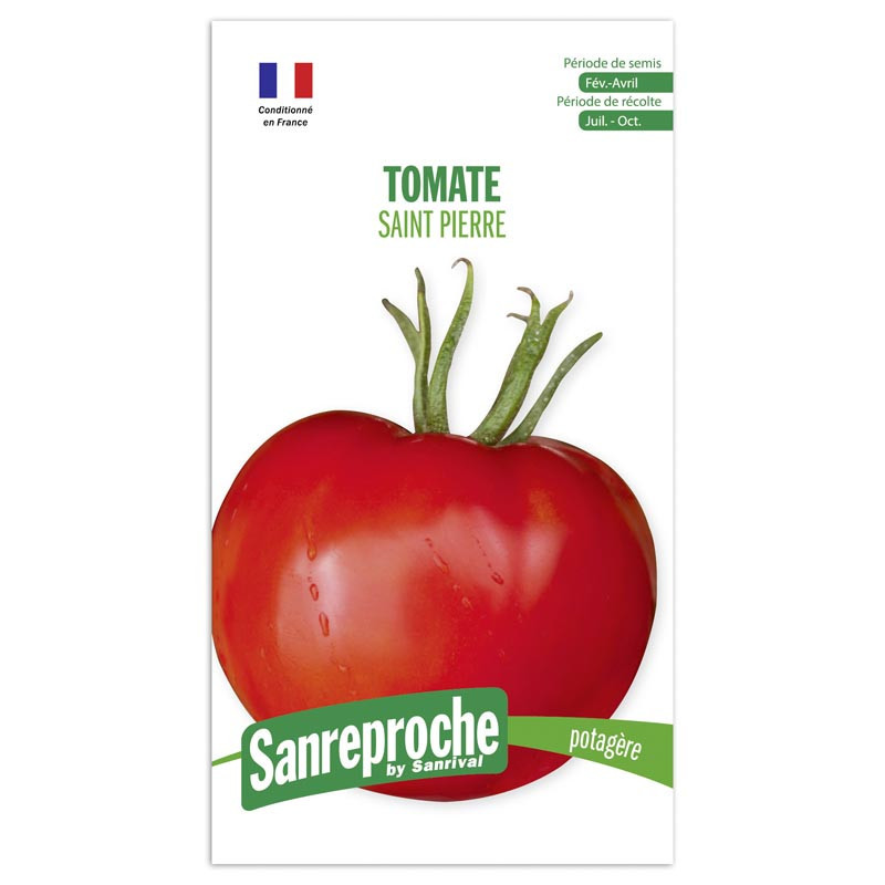 Gr tomate saint pierre