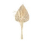 Bouquet feuille seche h31cm nat