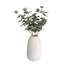 Eucalyptus dans vase