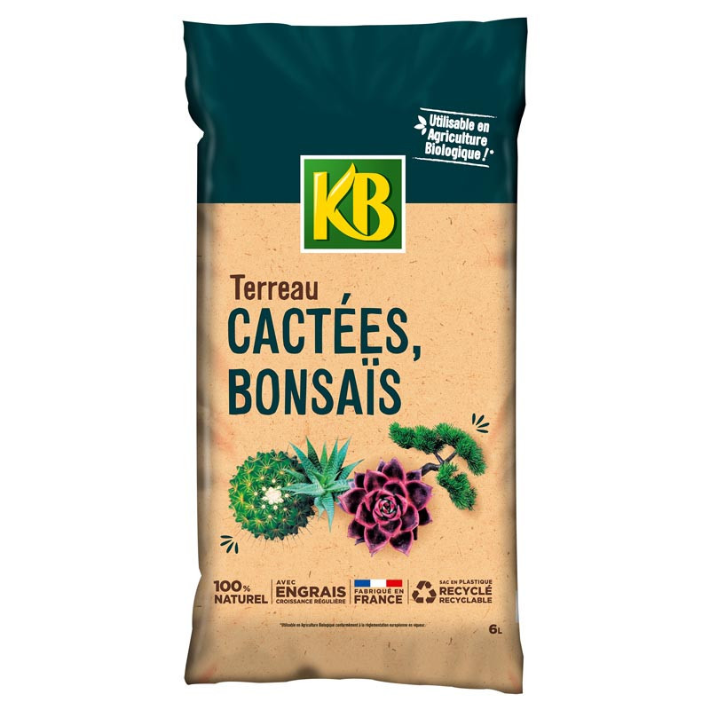 Terreau kb cactees 6l