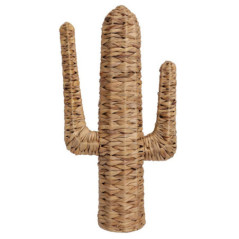 Cactus deco gm