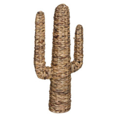 Cactus tresse h75cm