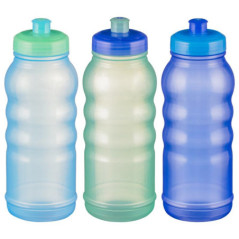 Lot 3 gourdes garcon 625ml